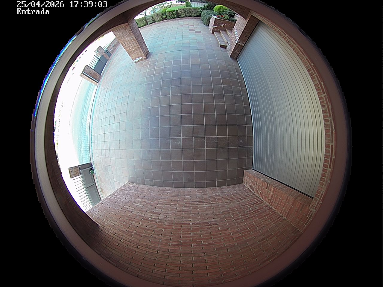 Webcam 2 Screen Capture