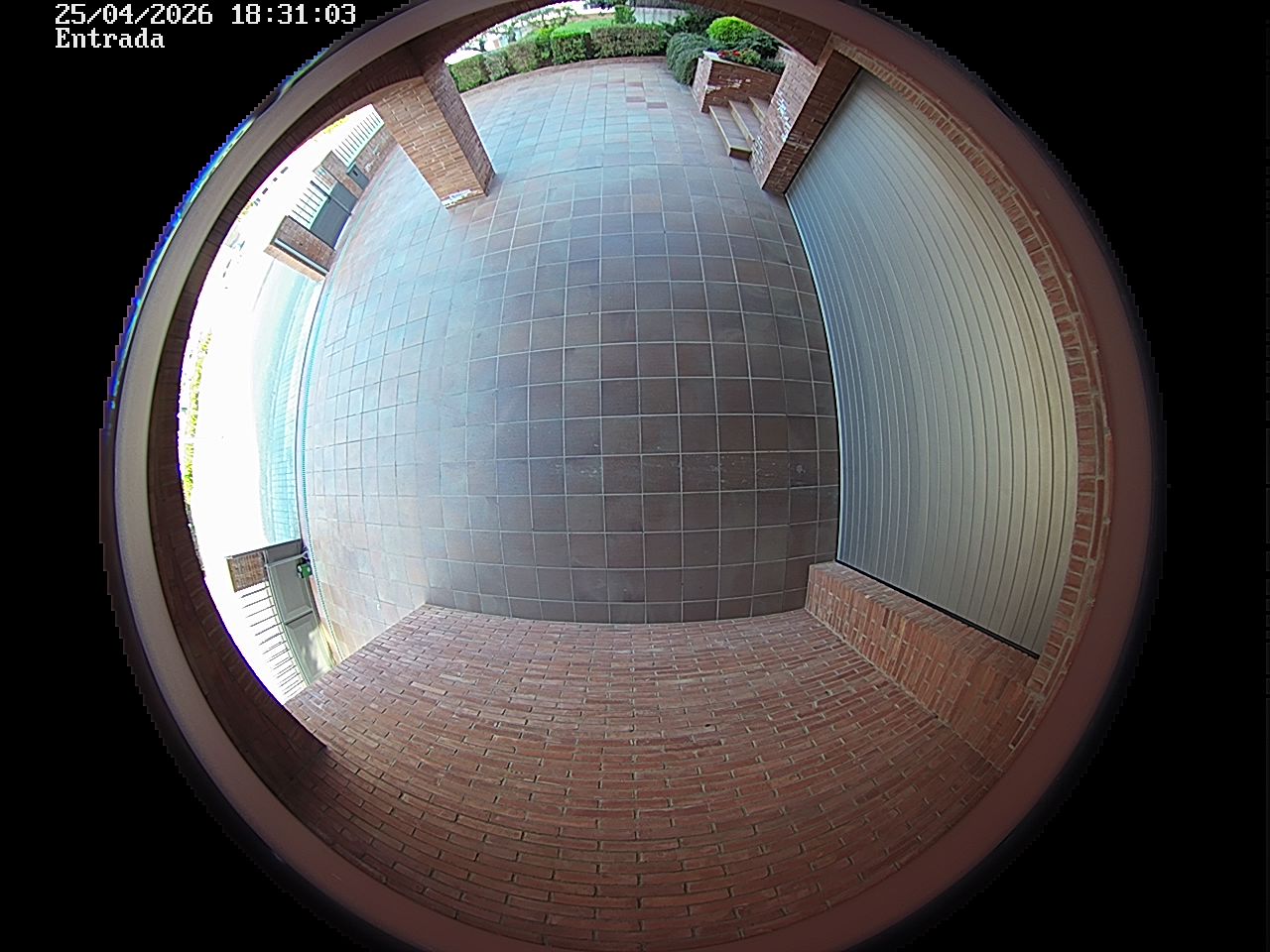 Webcam 2 Screen Capture