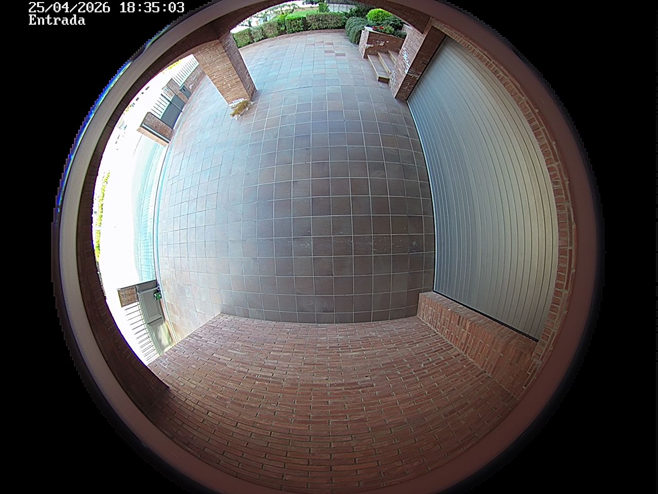 Webcam 2 Screen Capture