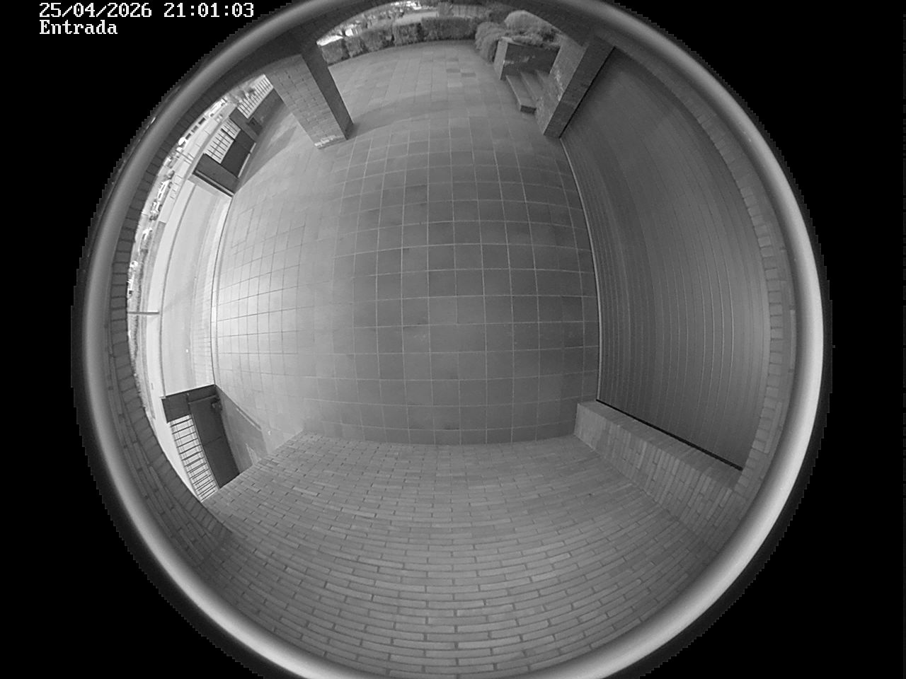 Webcam 2 Screen Capture