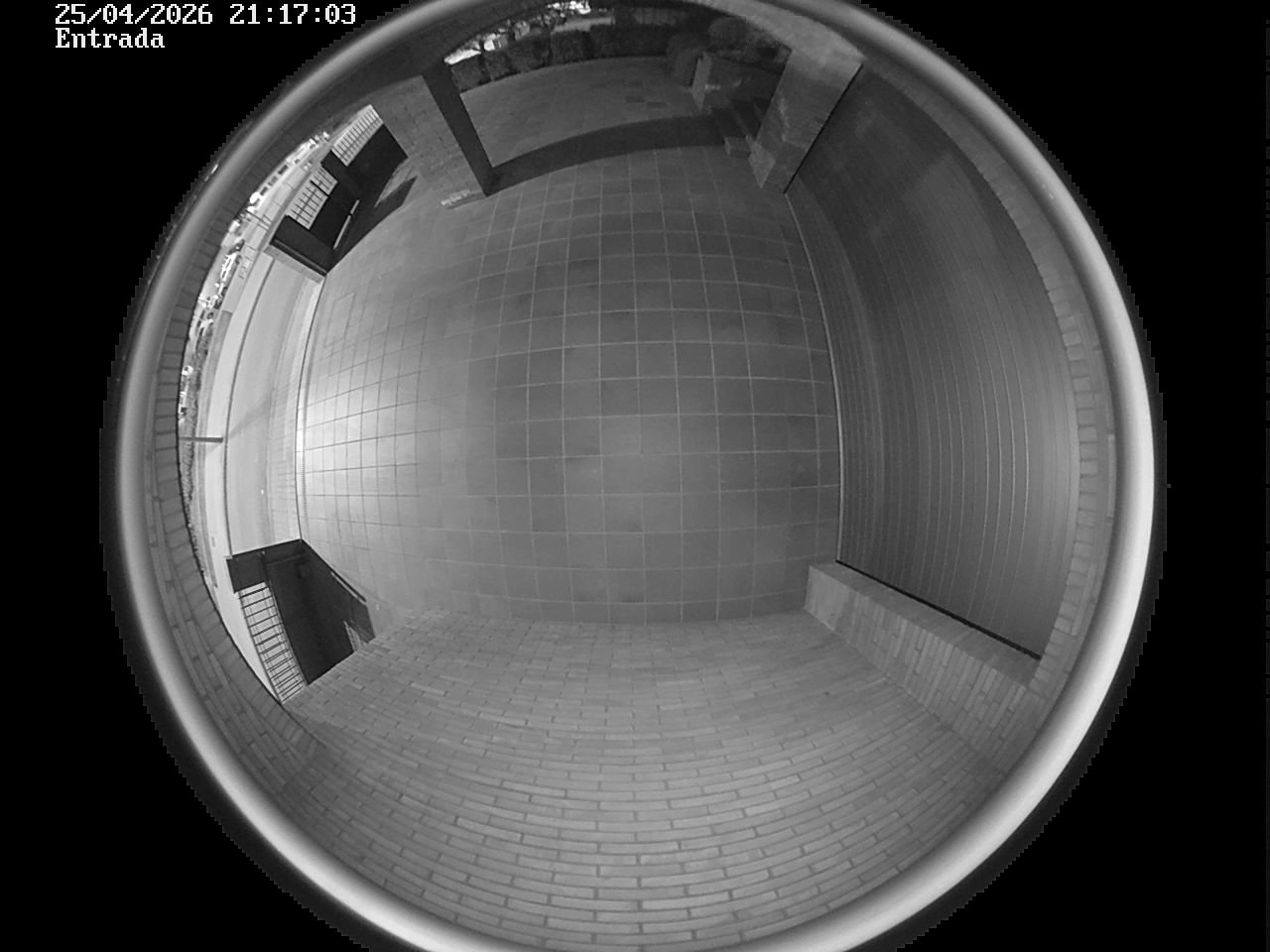 Webcam 2 Screen Capture