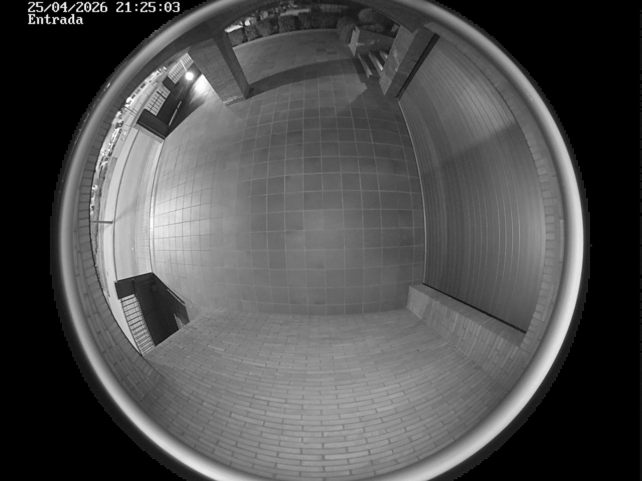 Webcam 2 Screen Capture