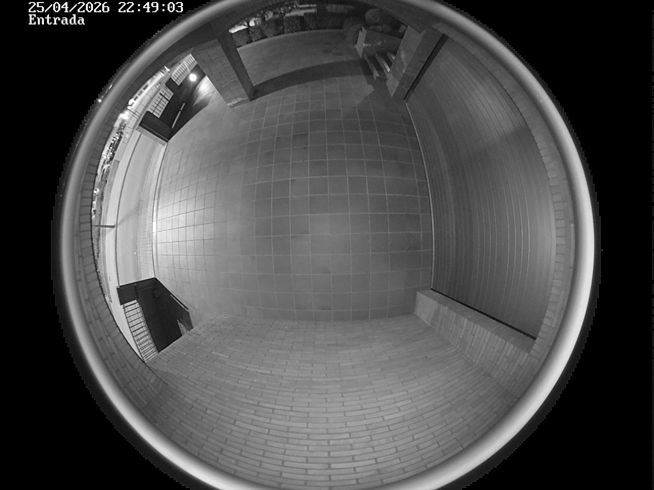 Webcam 2 Screen Capture