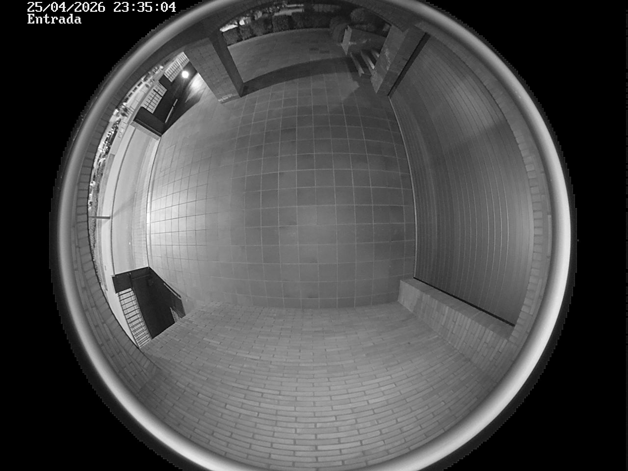 Webcam 2 Screen Capture