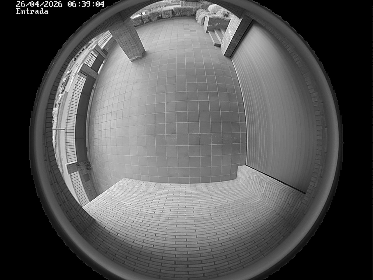 Webcam 2 Screen Capture